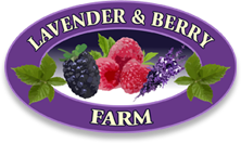 Lavender Berry Farm Logo